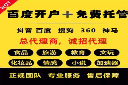 SEM托管服务，成功案例深度分析